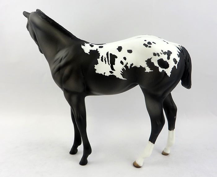 Appaloosa