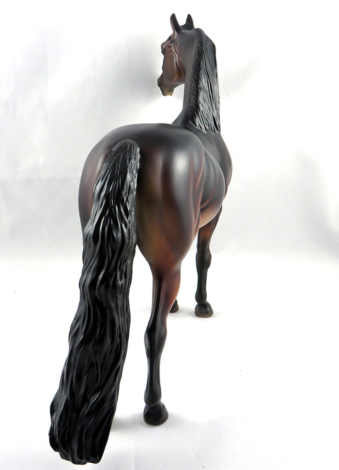 ACE IN THE HOLE-OOAK SEAL BAY MORGAN  7-07