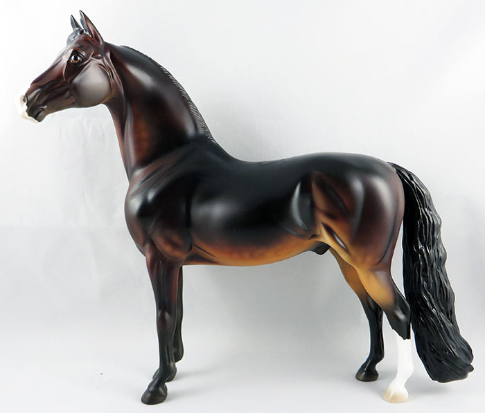 Morgan Horse