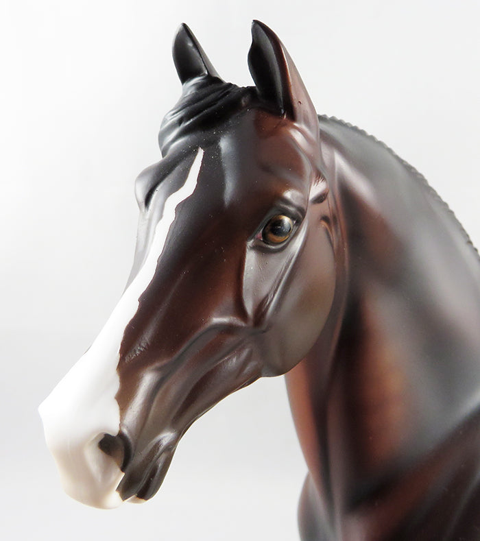 ACE IN THE HOLE-OOAK SEAL BAY MORGAN  7-07