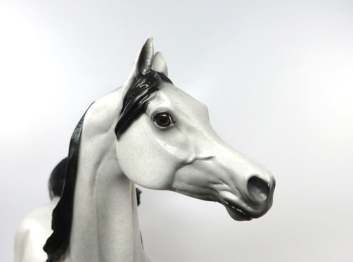 MR BOJANGLES-OOAK GREY WITH BLOODY SHOULDER &amp; BLACK POINTS ARABIAN MODEL HORSE 8/30