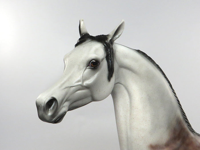 MR BOJANGLES-OOAK GREY WITH BLOODY SHOULDER &amp; BLACK POINTS ARABIAN MODEL HORSE 8/30