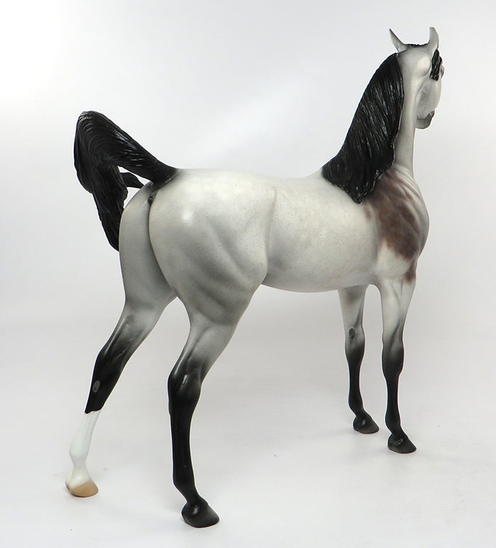 MR BOJANGLES-OOAK GREY WITH BLOODY SHOULDER &amp; BLACK POINTS ARABIAN MODEL HORSE 8/30