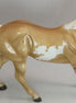 BOONE STATION - Palomino Paint FQH