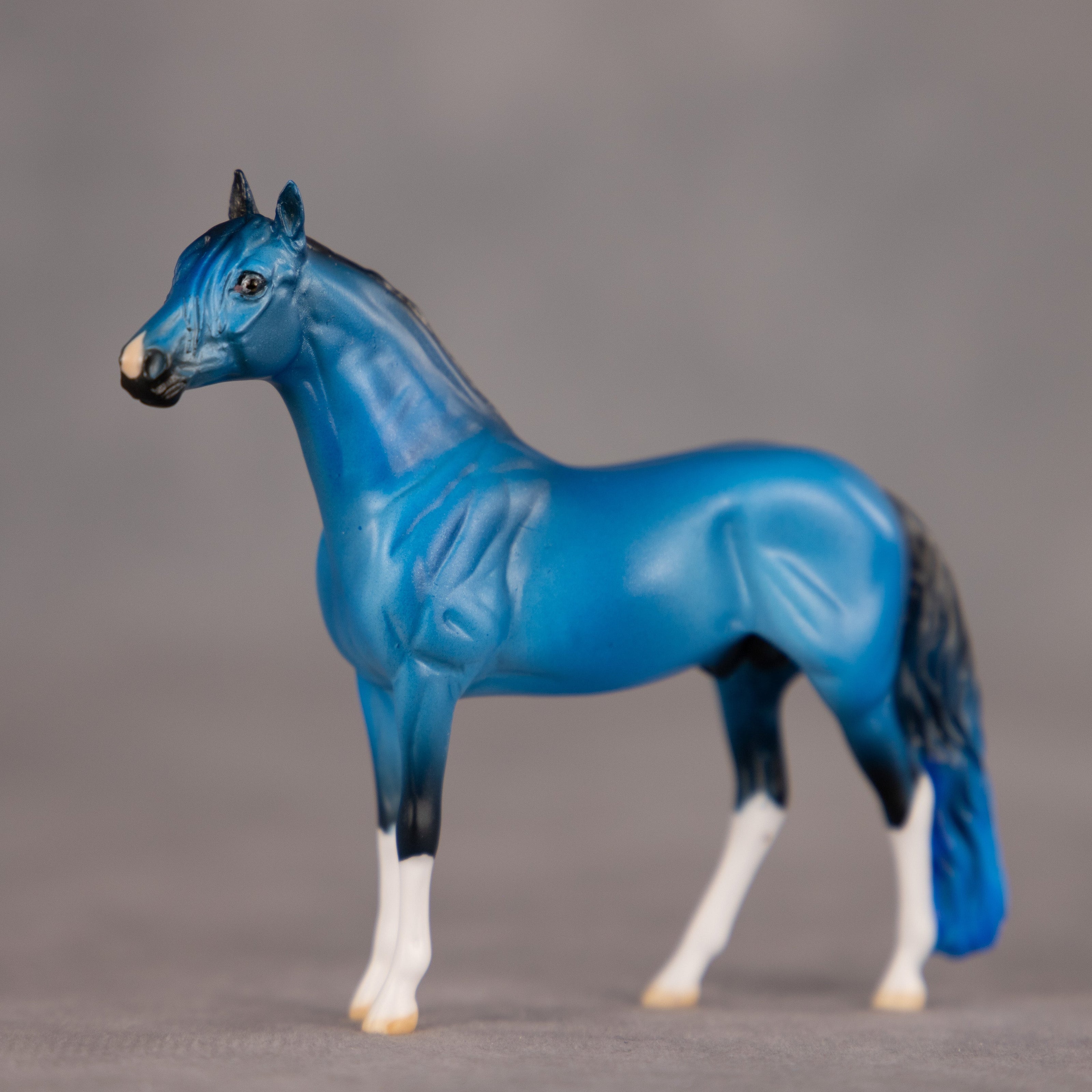 Brand New Image OOAK Chip Andalusian by Dawn Quick EQ26