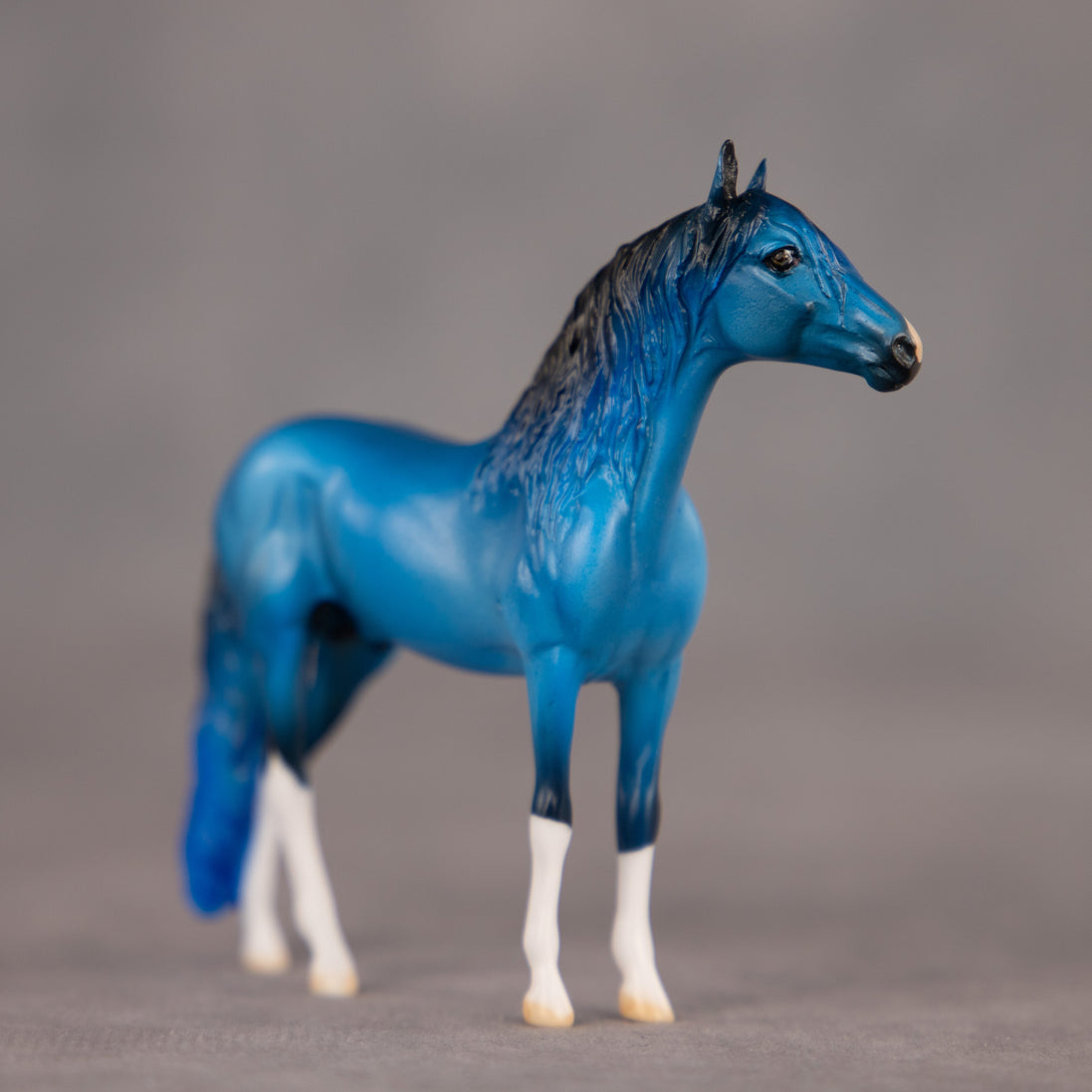 Brand New Image OOAK Chip Andalusian by Dawn Quick EQ26