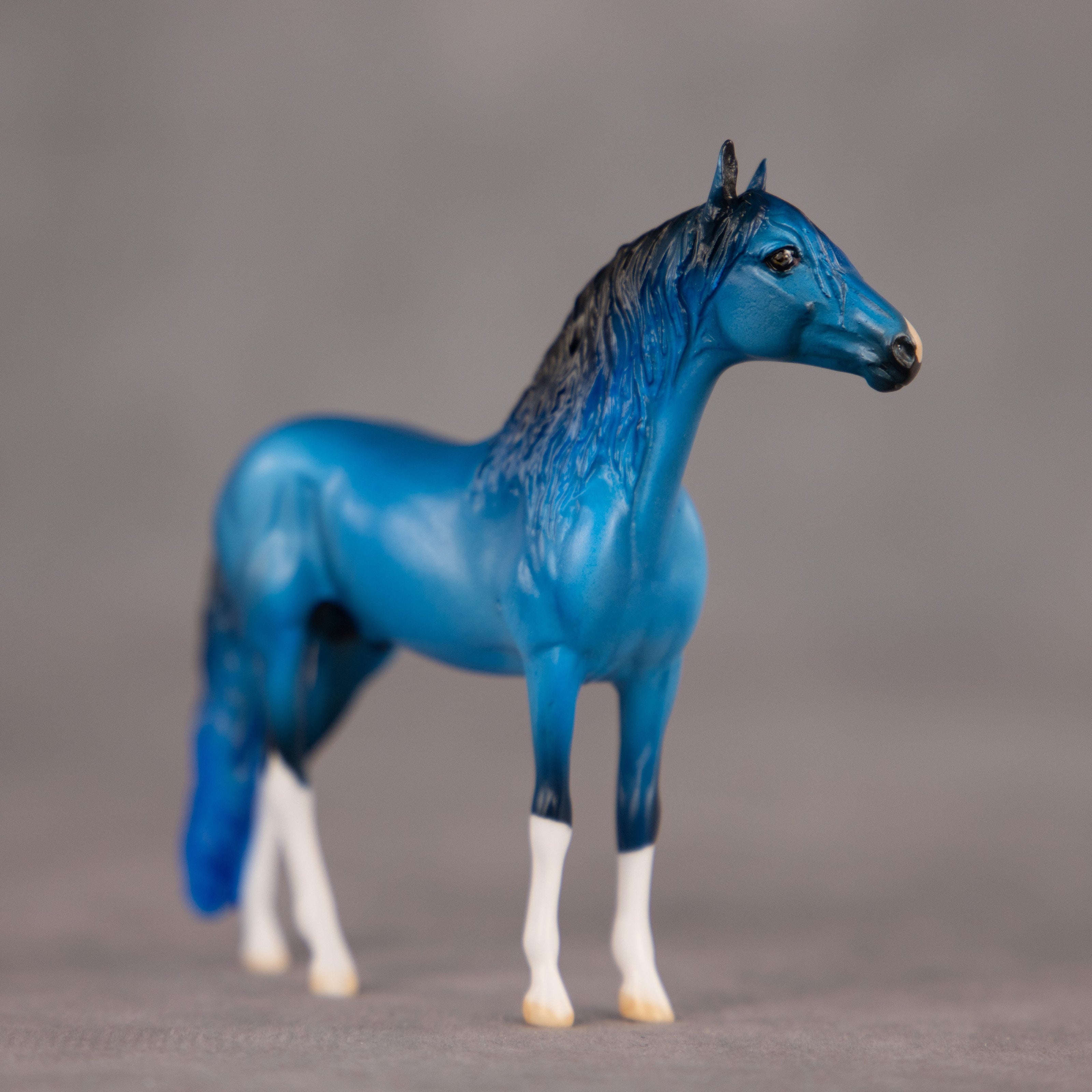 Brand New Image OOAK Chip Andalusian by Dawn Quick EQ26