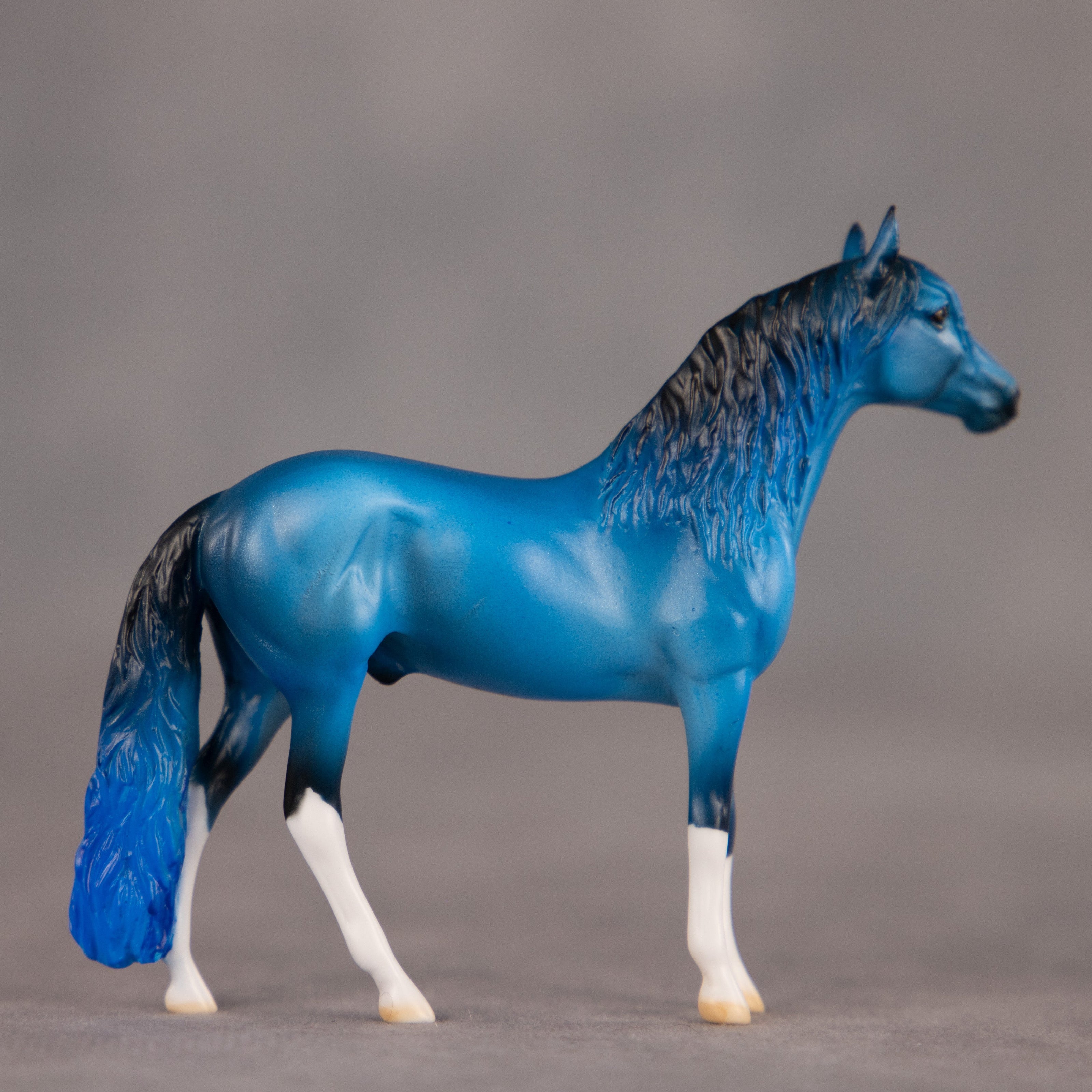 Brand New Image OOAK Chip Andalusian by Dawn Quick EQ26