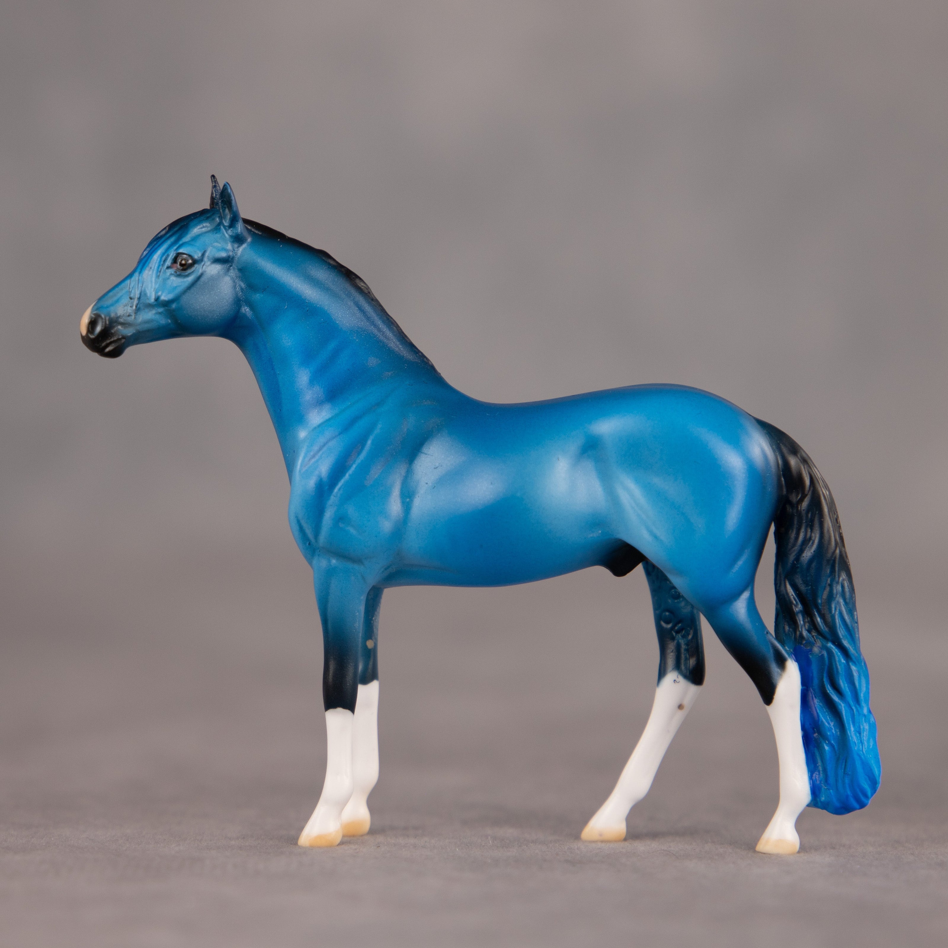 Brand New Image OOAK Chip Andalusian by Dawn Quick EQ26
