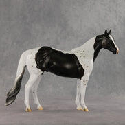 Bruce Specklesteed OOAK Ideal Stock Horse by Erin Corbett VV26