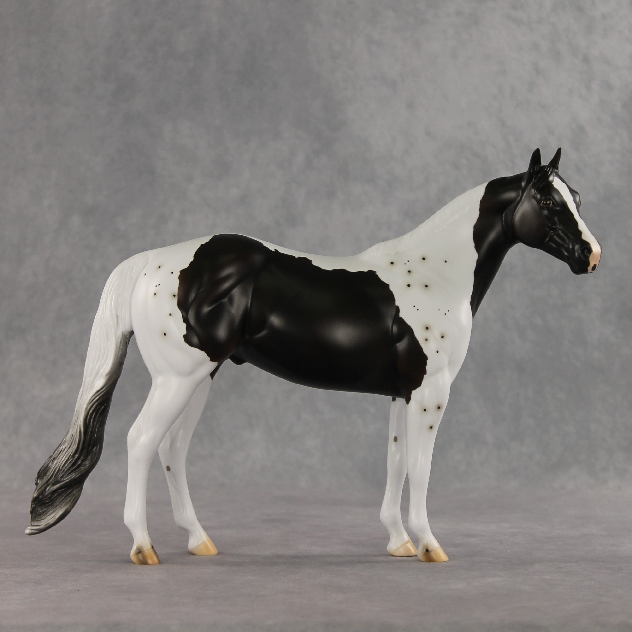 Bruce Specklesteed OOAK Ideal Stock Horse by Erin Corbett VV26