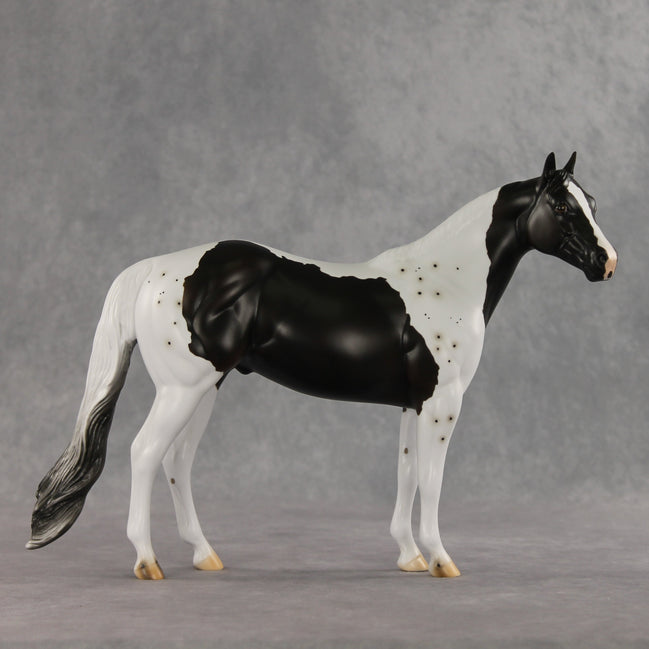 Bruce Specklesteed OOAK Ideal Stock Horse by Erin Corbett VV26