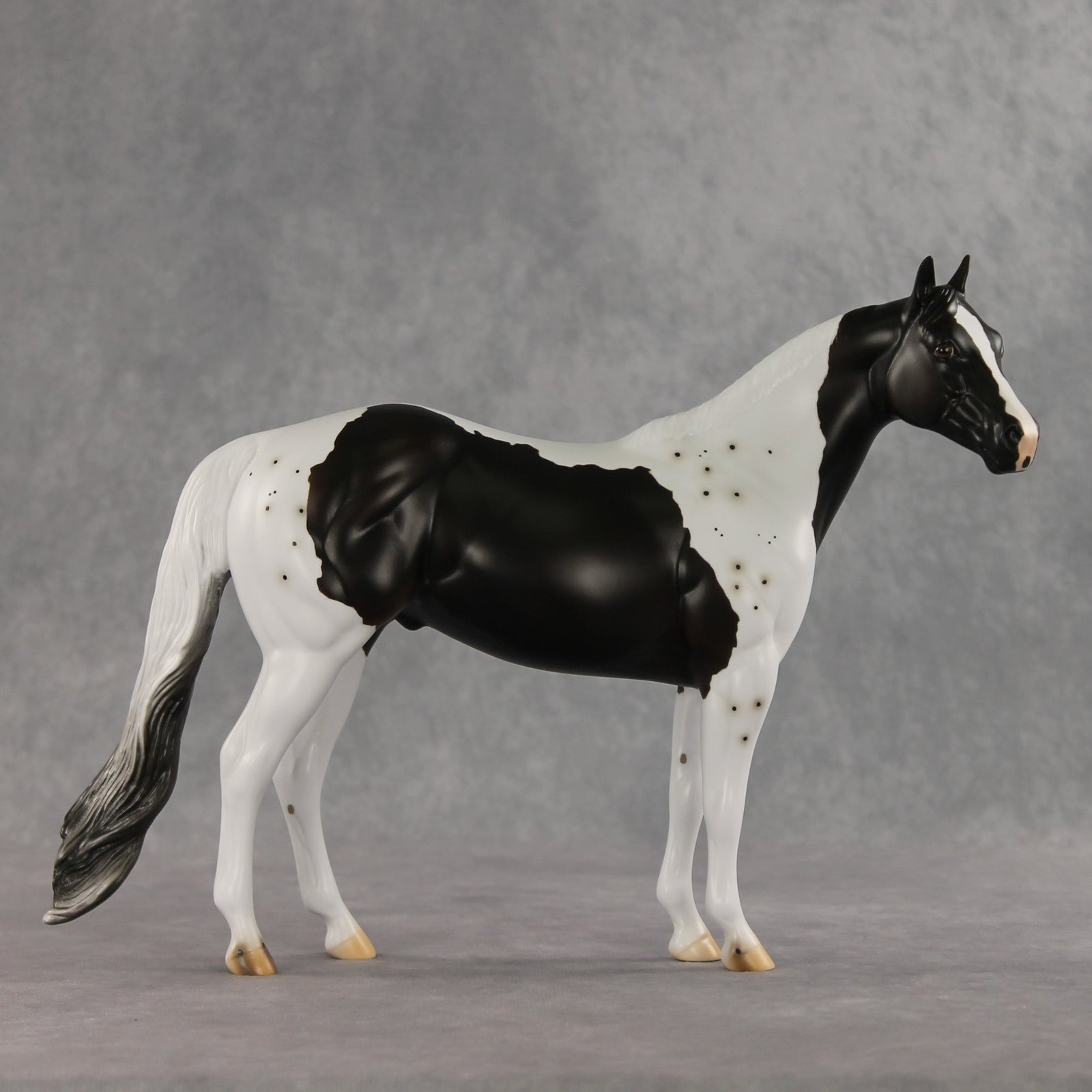 Bruce Specklesteed OOAK Ideal Stock Horse by Erin Corbett VV26