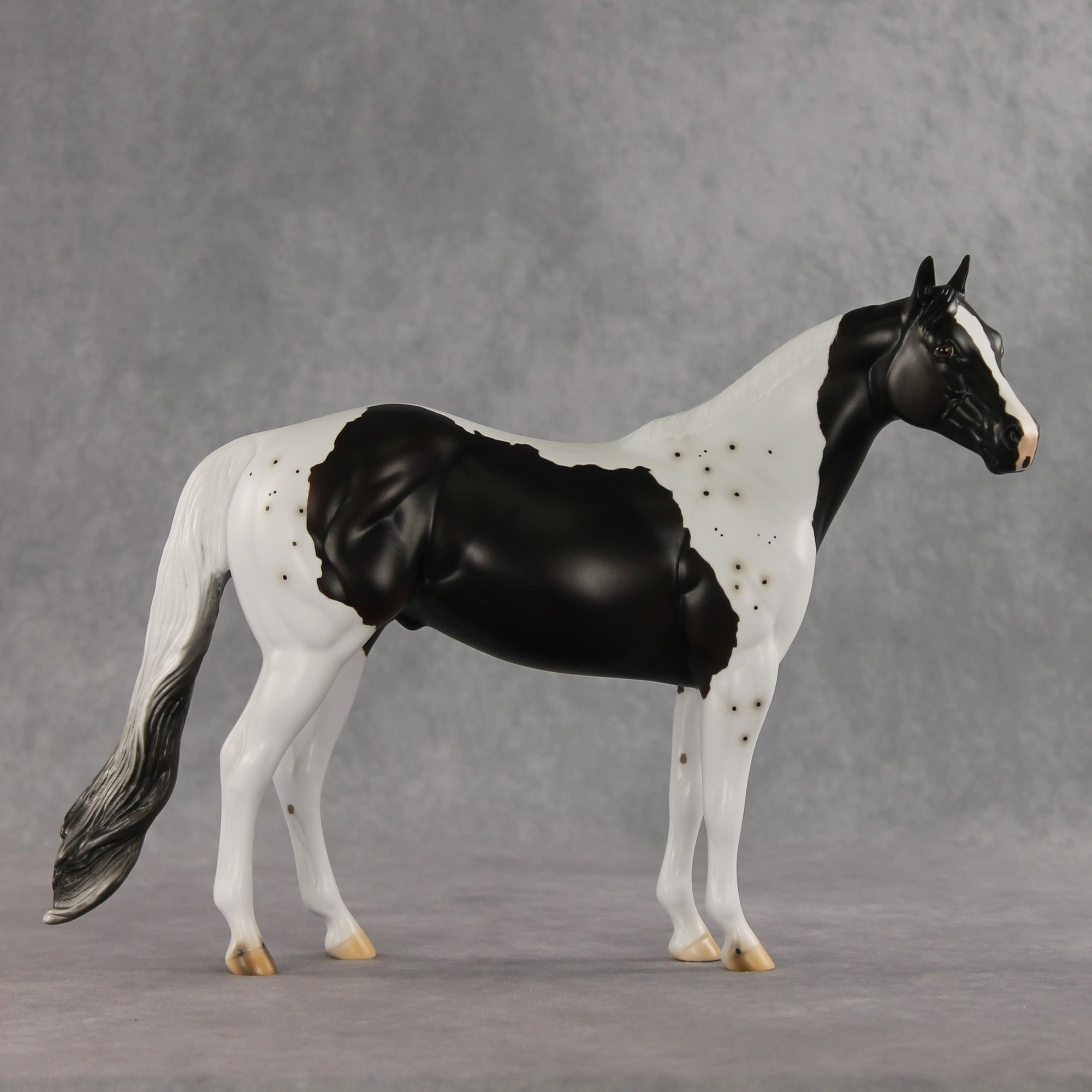 Bruce Specklesteed OOAK Ideal Stock Horse by Erin Corbett VV26