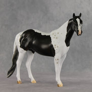 Bruce Specklesteed OOAK Ideal Stock Horse by Erin Corbett VV26