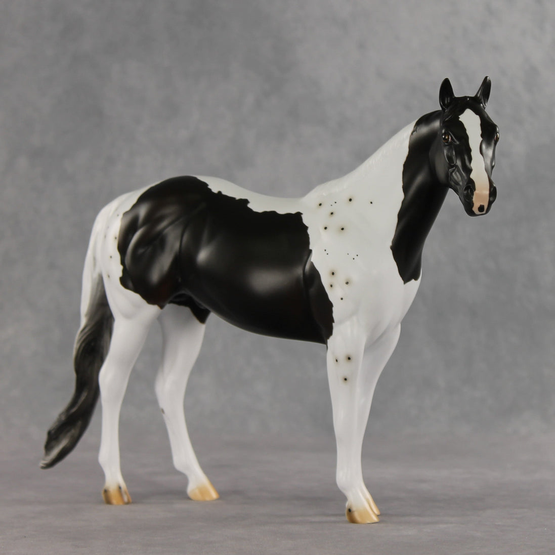 Bruce Specklesteed OOAK Ideal Stock Horse by Erin Corbett VV26