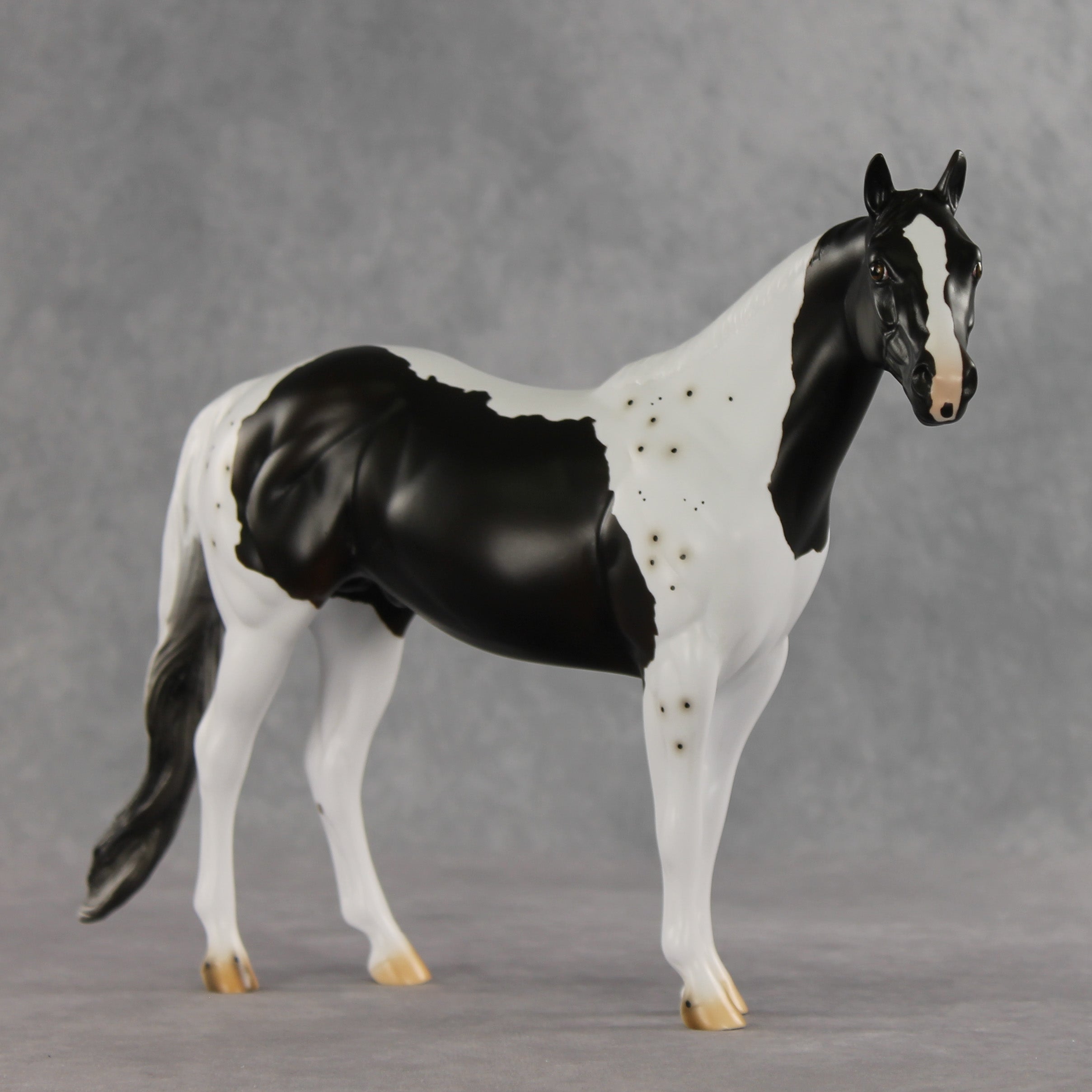 Bruce Specklesteed OOAK Ideal Stock Horse by Erin Corbett VV26