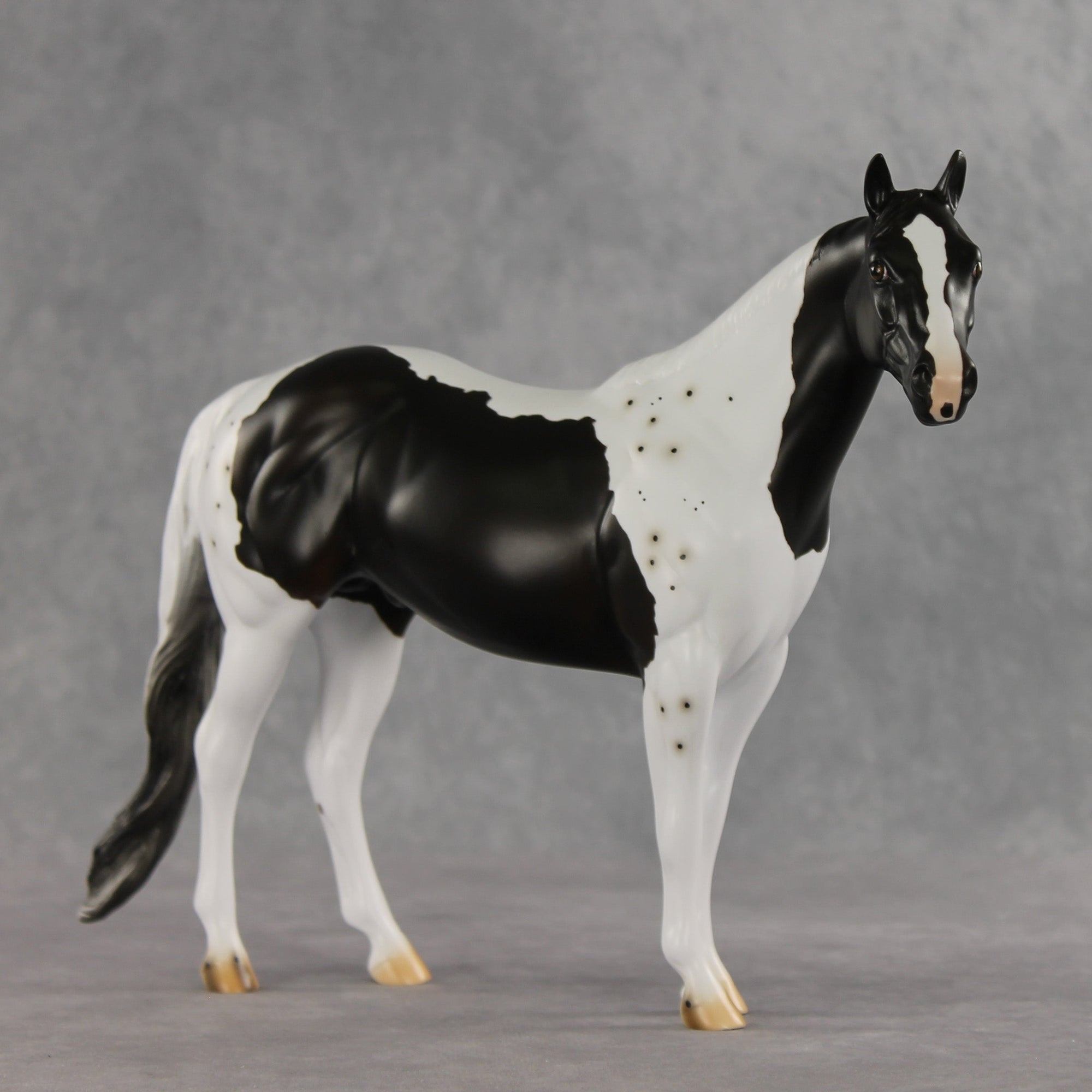 Bruce Specklesteed OOAK Ideal Stock Horse by Erin Corbett VV26