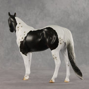 Bruce Specklesteed OOAK Ideal Stock Horse by Erin Corbett VV26