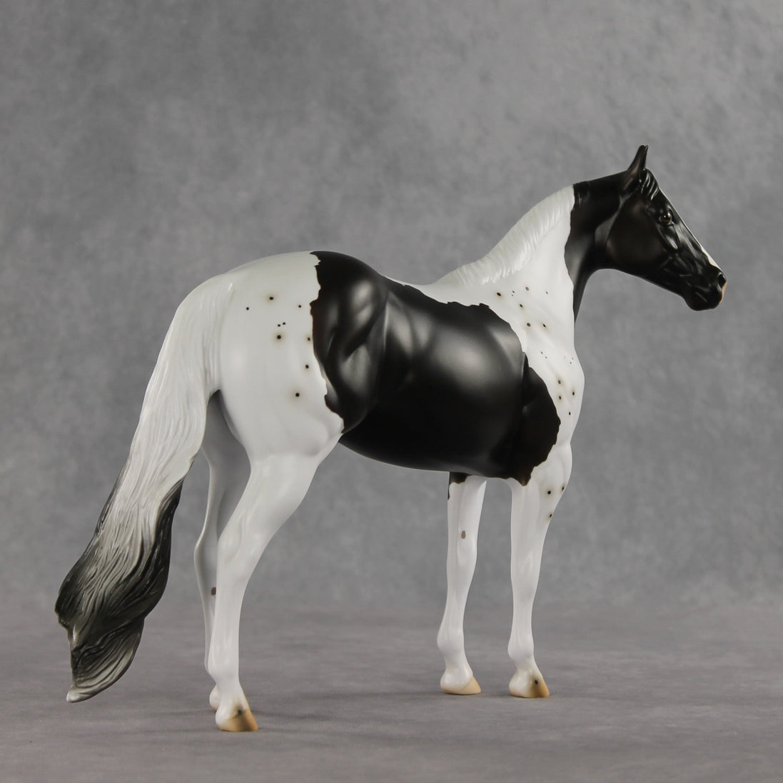 Bruce Specklesteed OOAK Ideal Stock Horse by Erin Corbett VV26