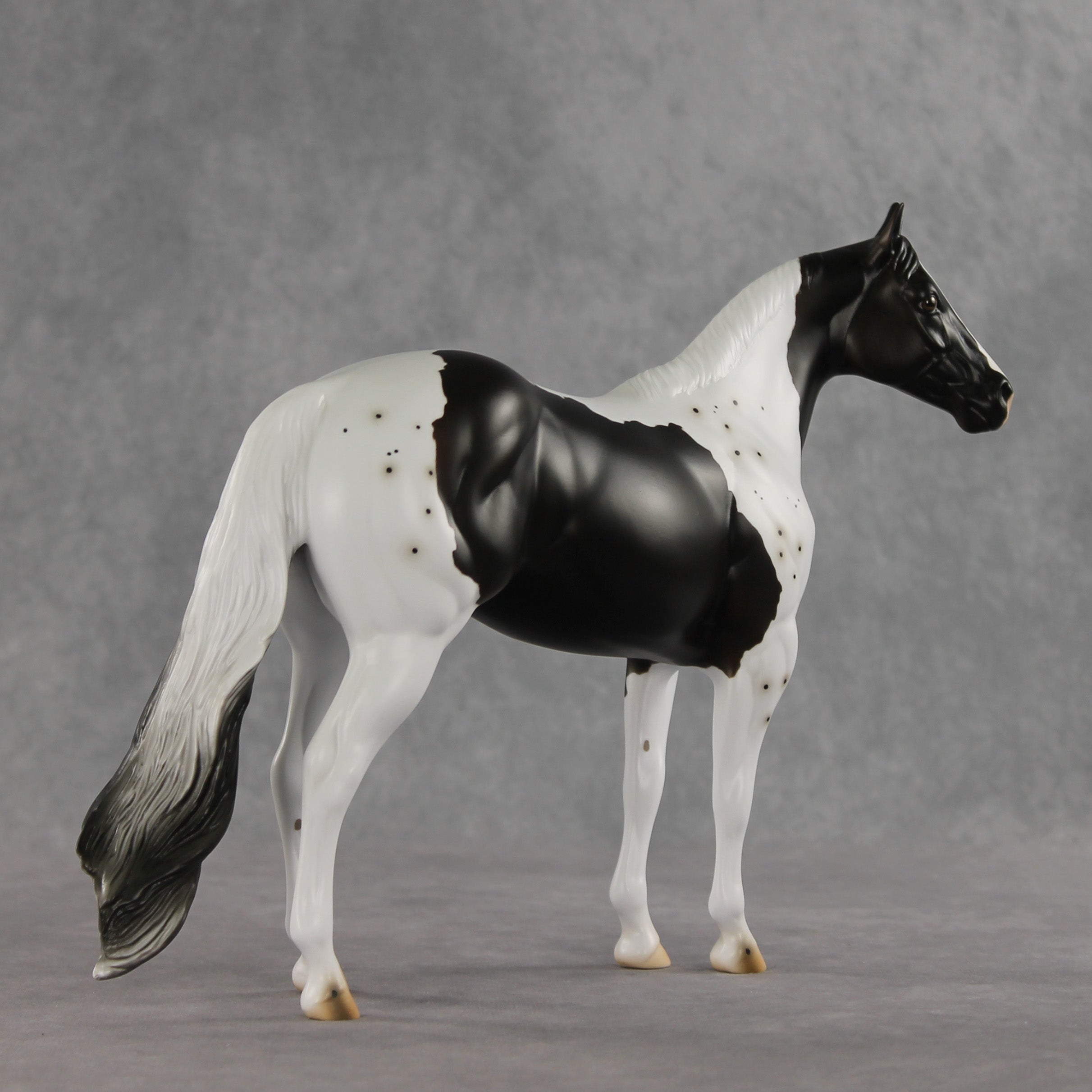 Bruce Specklesteed OOAK Ideal Stock Horse by Erin Corbett VV26