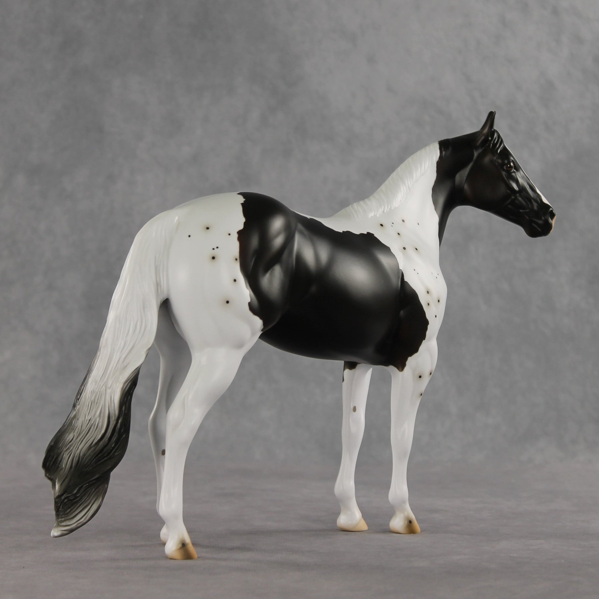 Bruce Specklesteed OOAK Ideal Stock Horse by Erin Corbett VV26