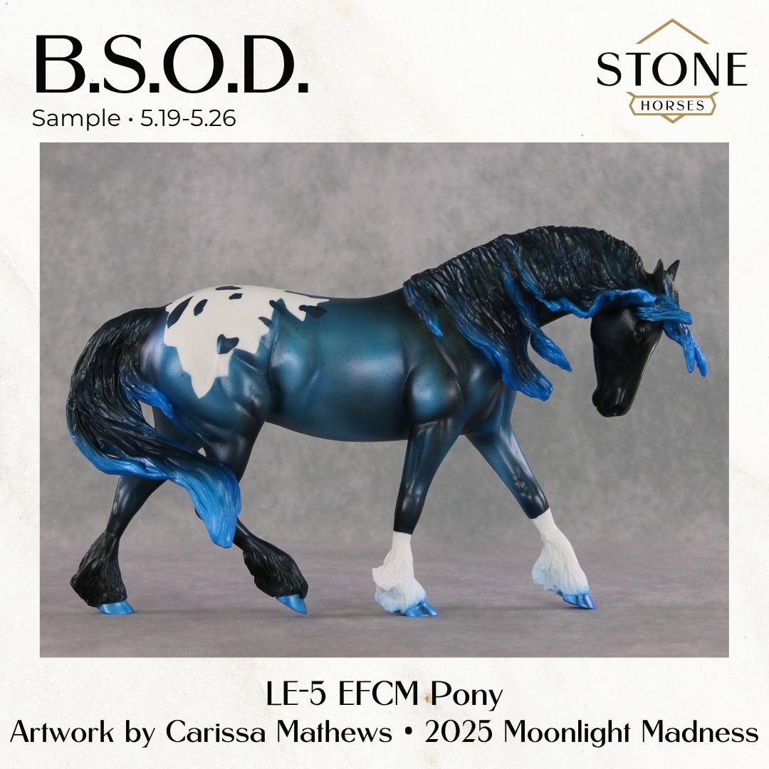 SAMPLE B.S.O.D. LE-5 EFCM Pony by Carissa Mathews SHCF26