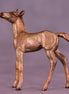 Bubbly OOAK Chip Foal by Julie Keim HS25