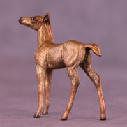 Bubbly OOAK Chip Foal by Julie Keim HS25