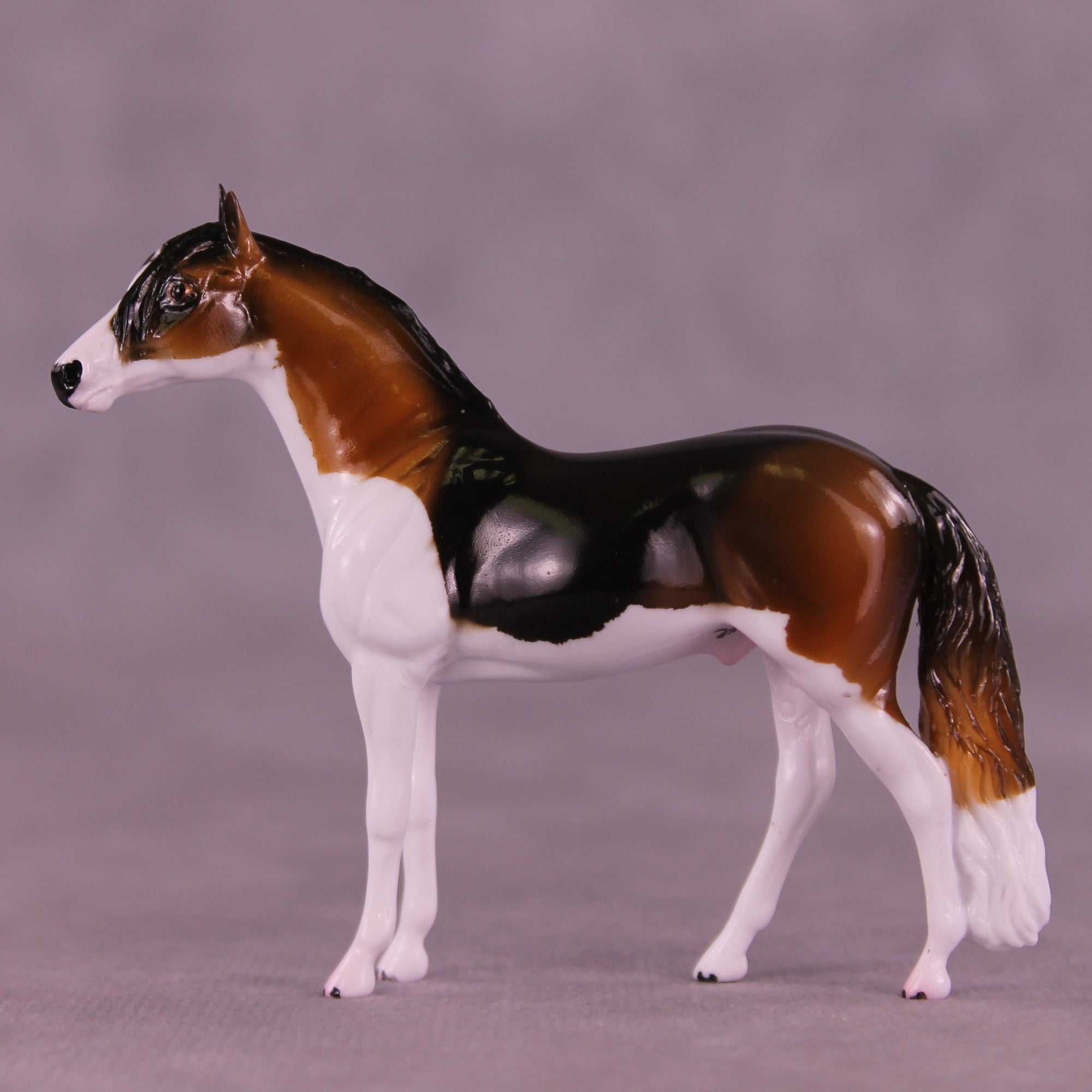 Buddy OOAK Chip Andalusian by Kike (Enrique) Duarte MS25