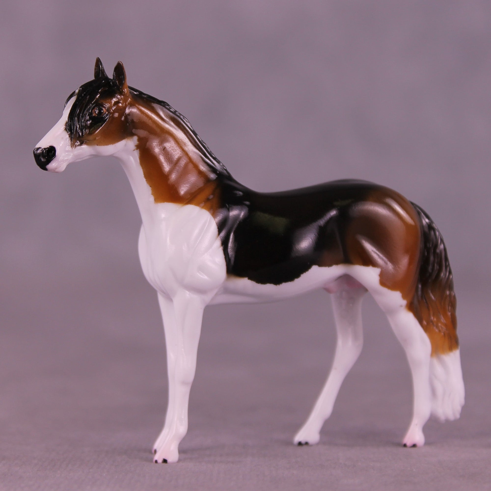 Buddy OOAK Chip Andalusian by Kike (Enrique) Duarte MS25