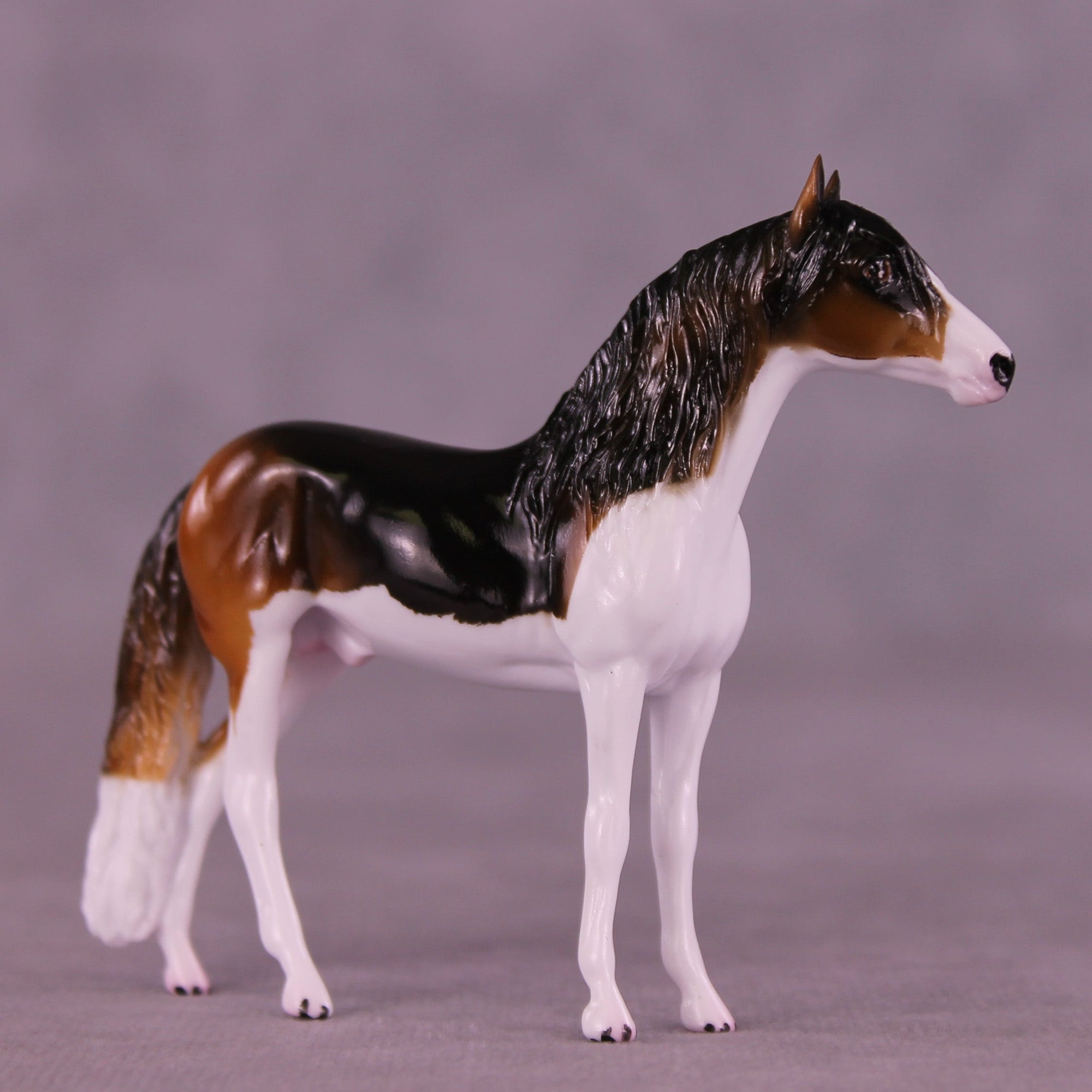 Buddy OOAK Chip Andalusian by Kike (Enrique) Duarte MS25