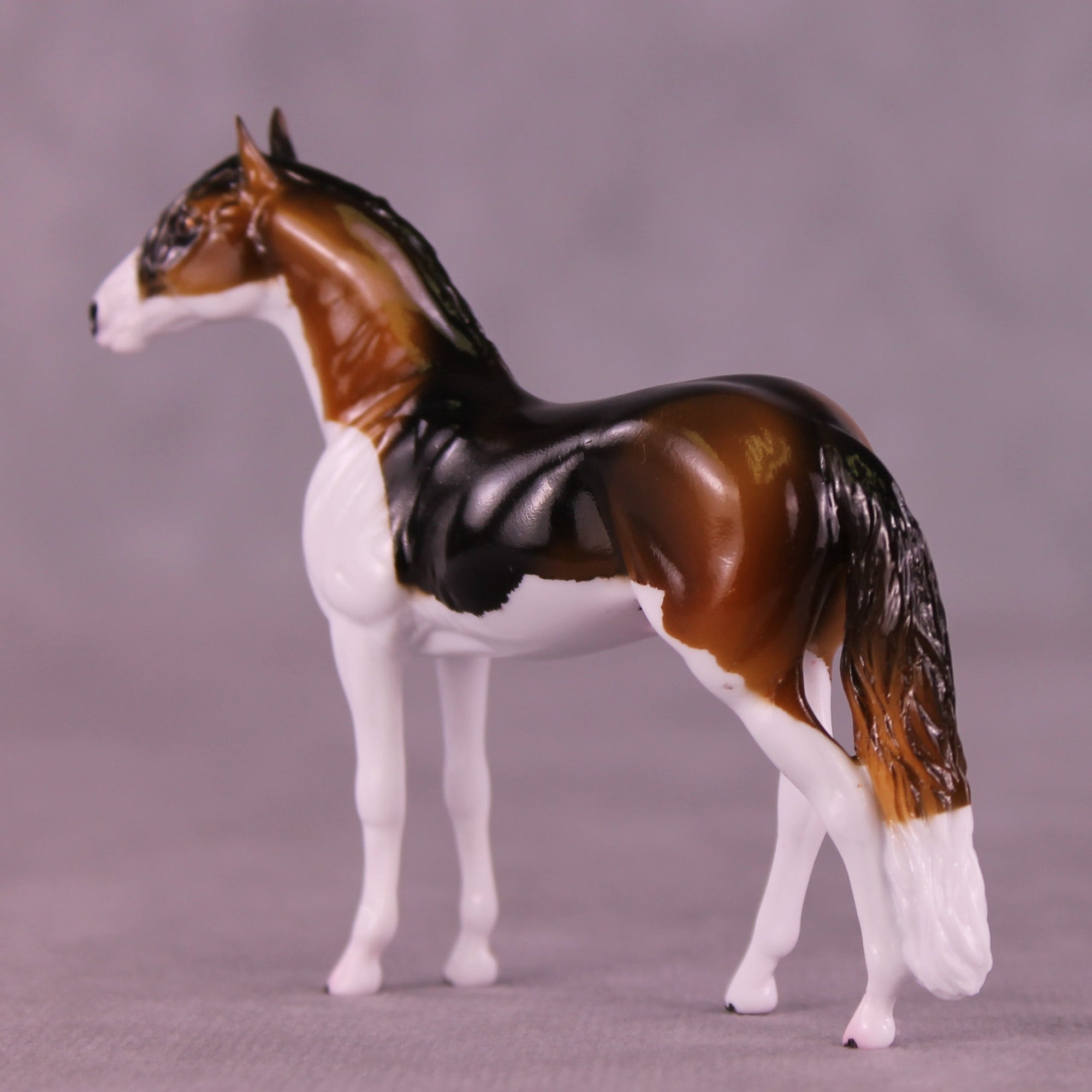 Buddy OOAK Chip Andalusian by Kike (Enrique) Duarte MS25