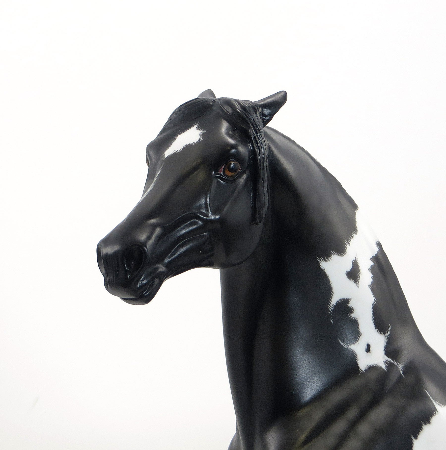 BUFFALO SOLDIER - Black Overo Etched Morgan Model Horse - 2015 EQ - LE15 - 7/3