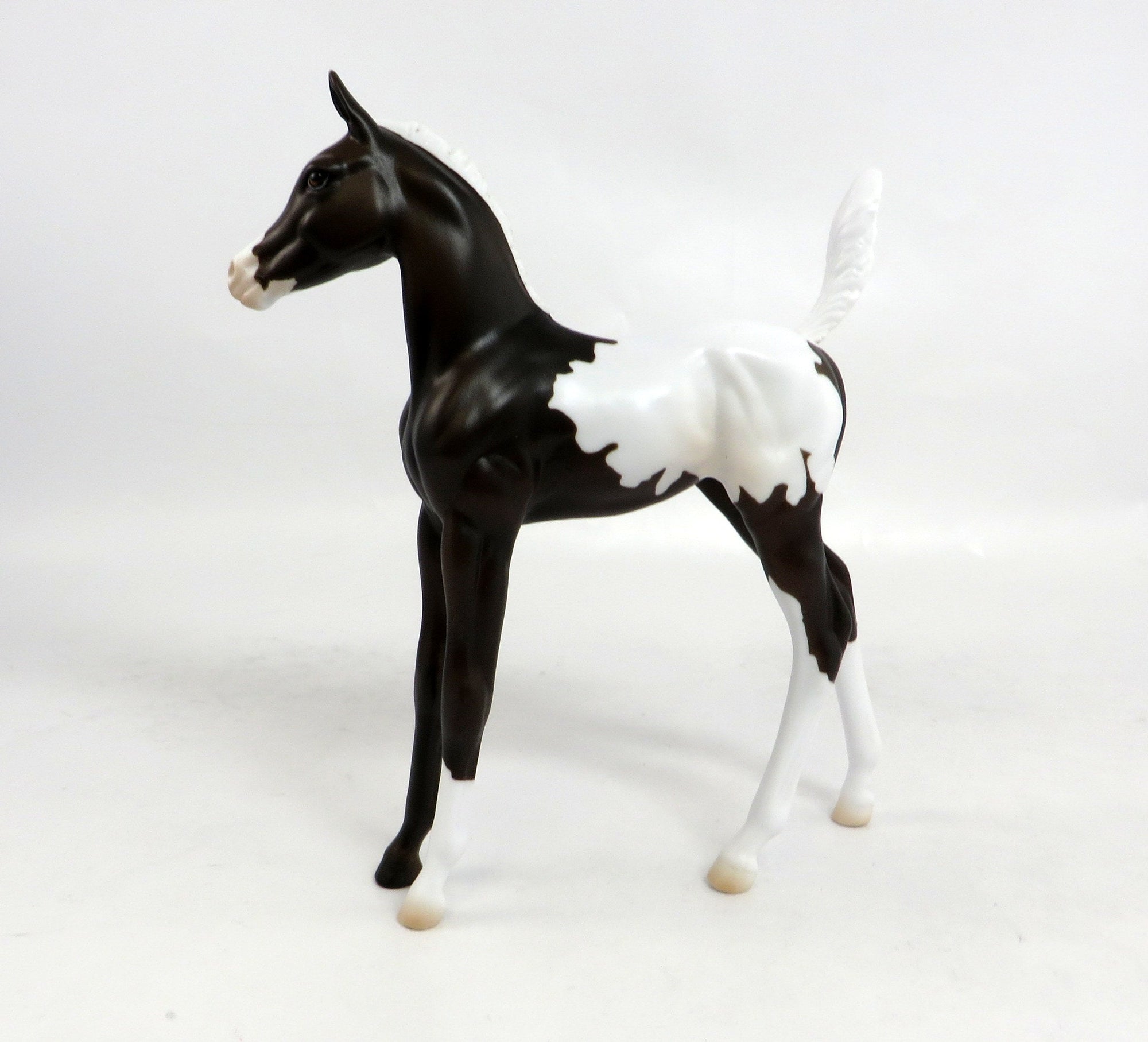 BUTTONS-OOAK NO SPOT BLANKET APPALOOSA FOAL MODEL HORSE 12/29