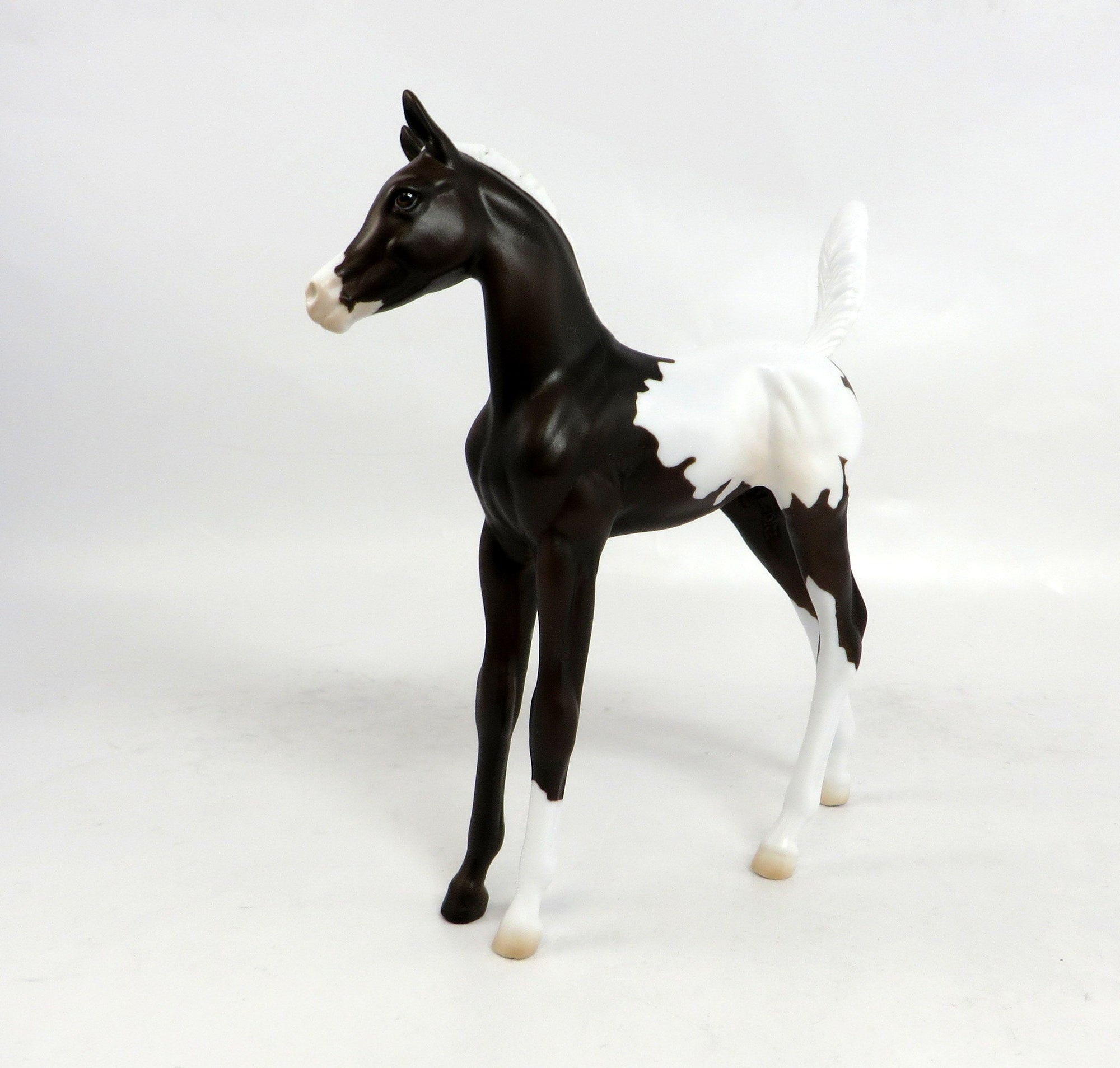 BUTTONS-OOAK NO SPOT BLANKET APPALOOSA FOAL MODEL HORSE 12/29