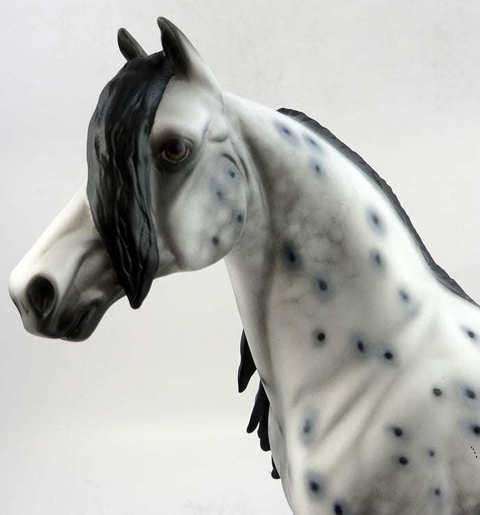 Appaloosa
