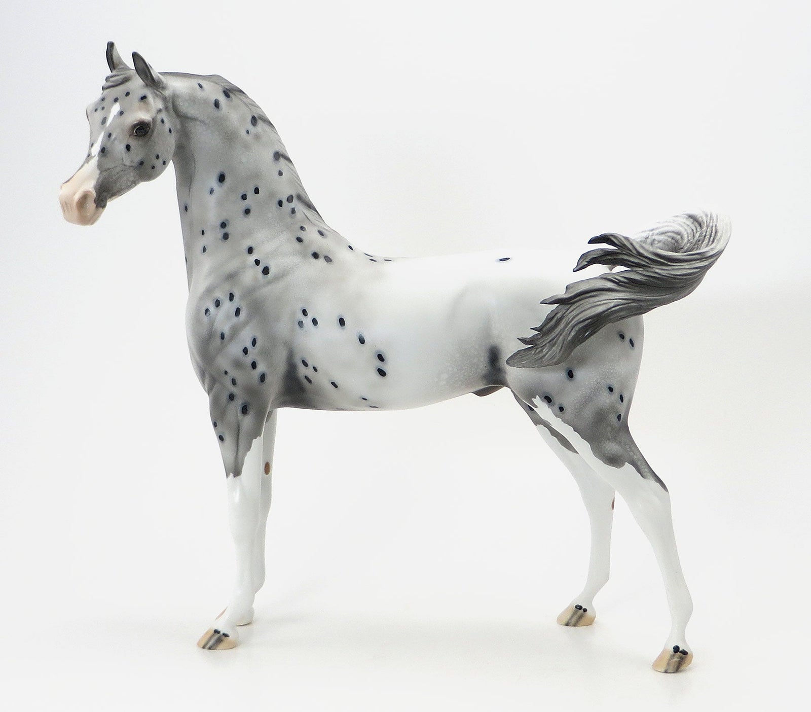 OH THE PLACES YOULL GO - OOAK Appaloosa Arabian - 6/19