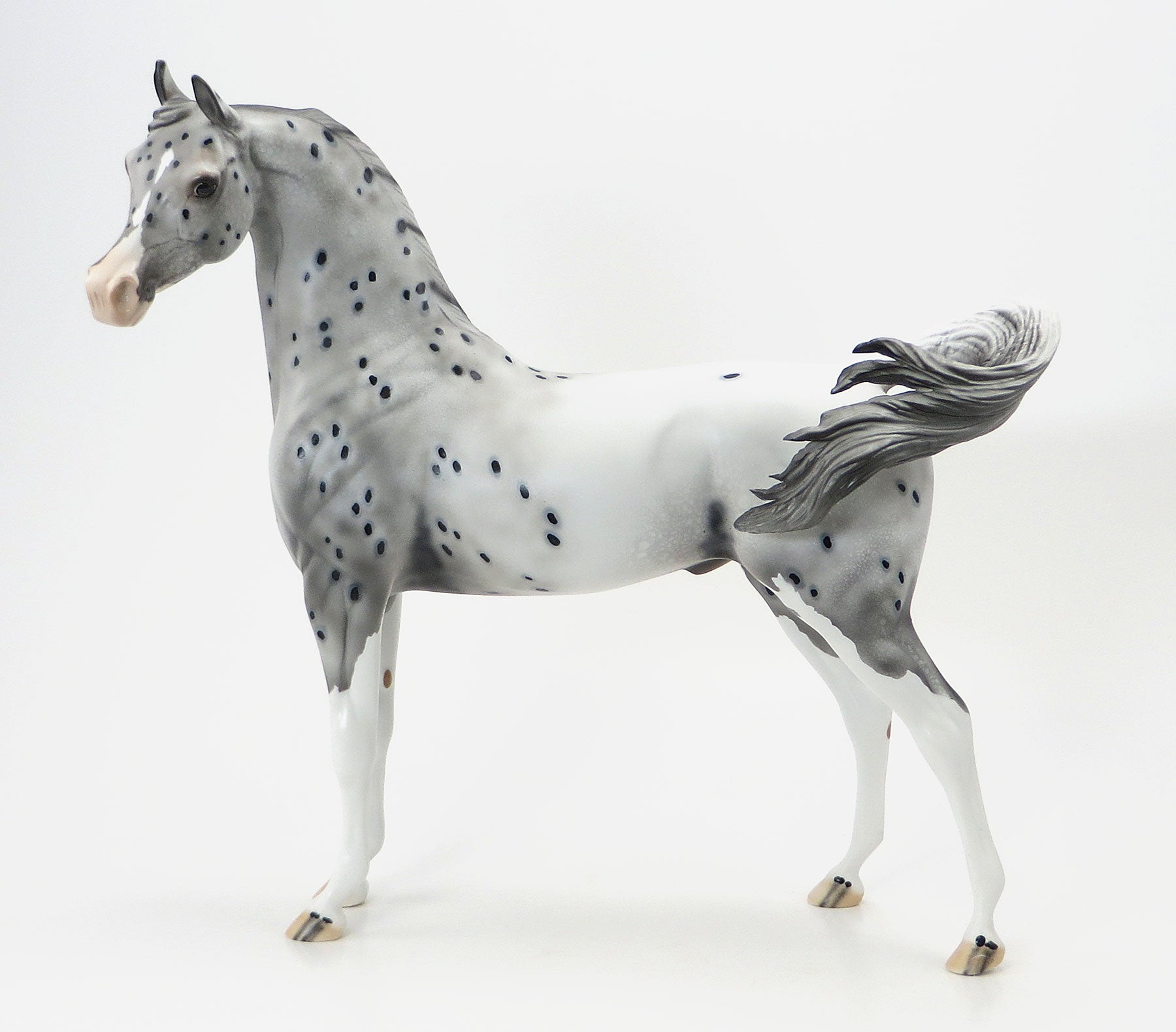 OH THE PLACES YOULL GO - OOAK Appaloosa Arabian - 6/19
