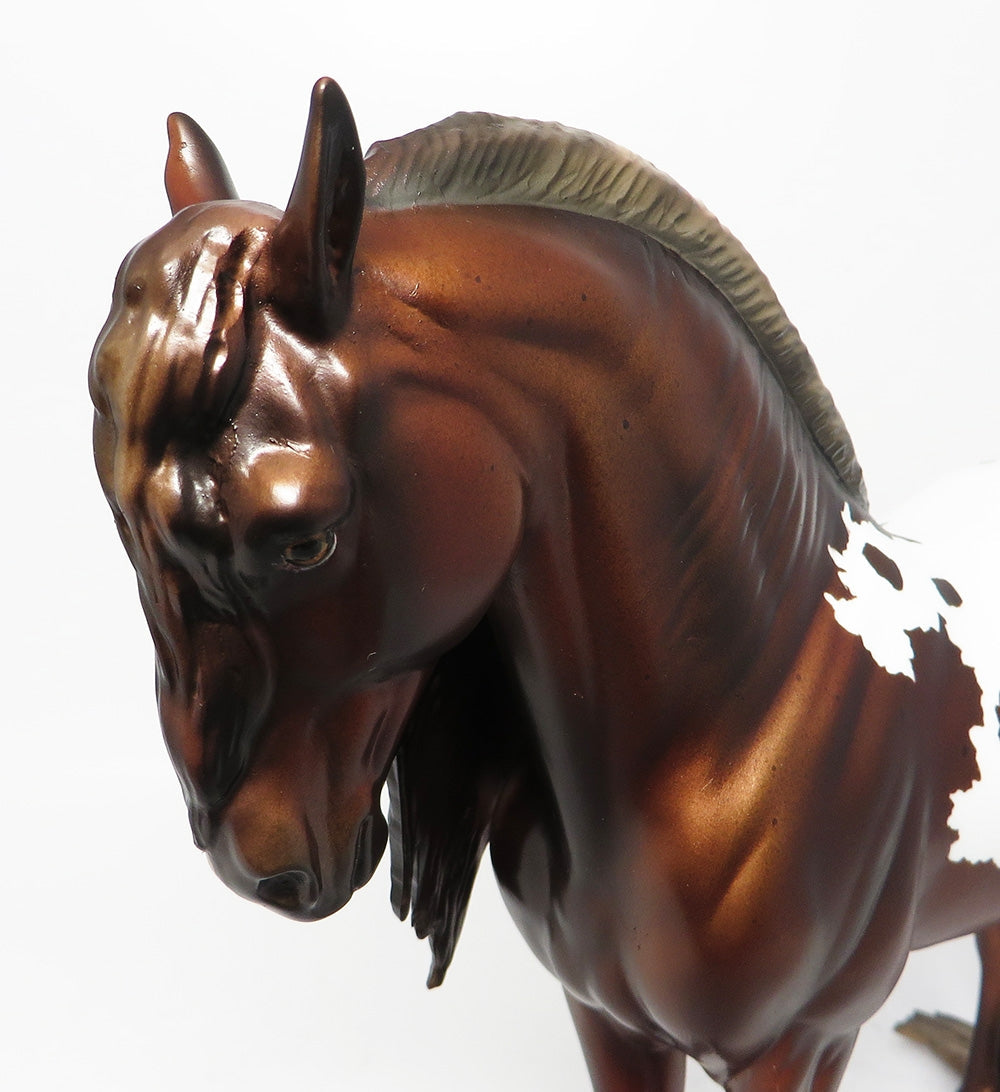 CADILLAC MOUNTAIN-LE-3-CHESTNUT APPALOOSA PUDDLE TAIL ANDALUSIAN EQ 2017