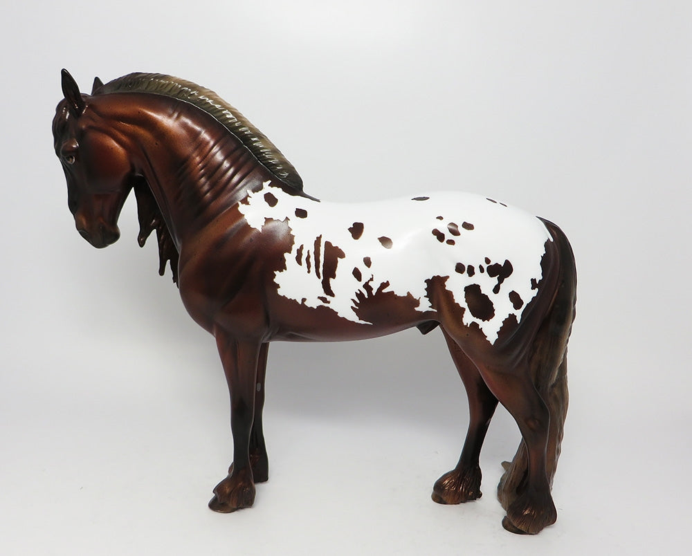 CADILLAC MOUNTAIN-LE-3-CHESTNUT APPALOOSA PUDDLE TAIL ANDALUSIAN EQ 2017