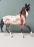 Darling OOAK Appaloosa Custom Arab Mare By Sheryl Leisure Former Best Offers SHCF24