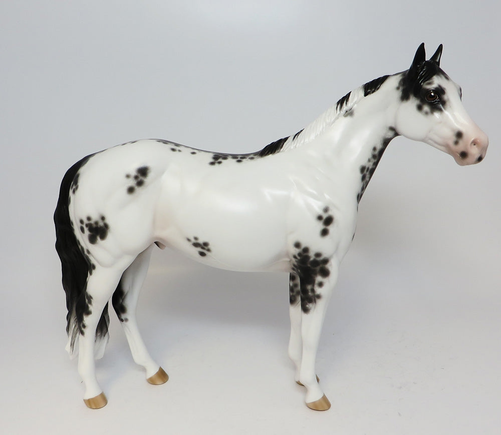 CALIENTE-OOAK BLACK FRAME OVERO ISH MODEL HORSE BY SHERYL LEISURE 06/30/17
