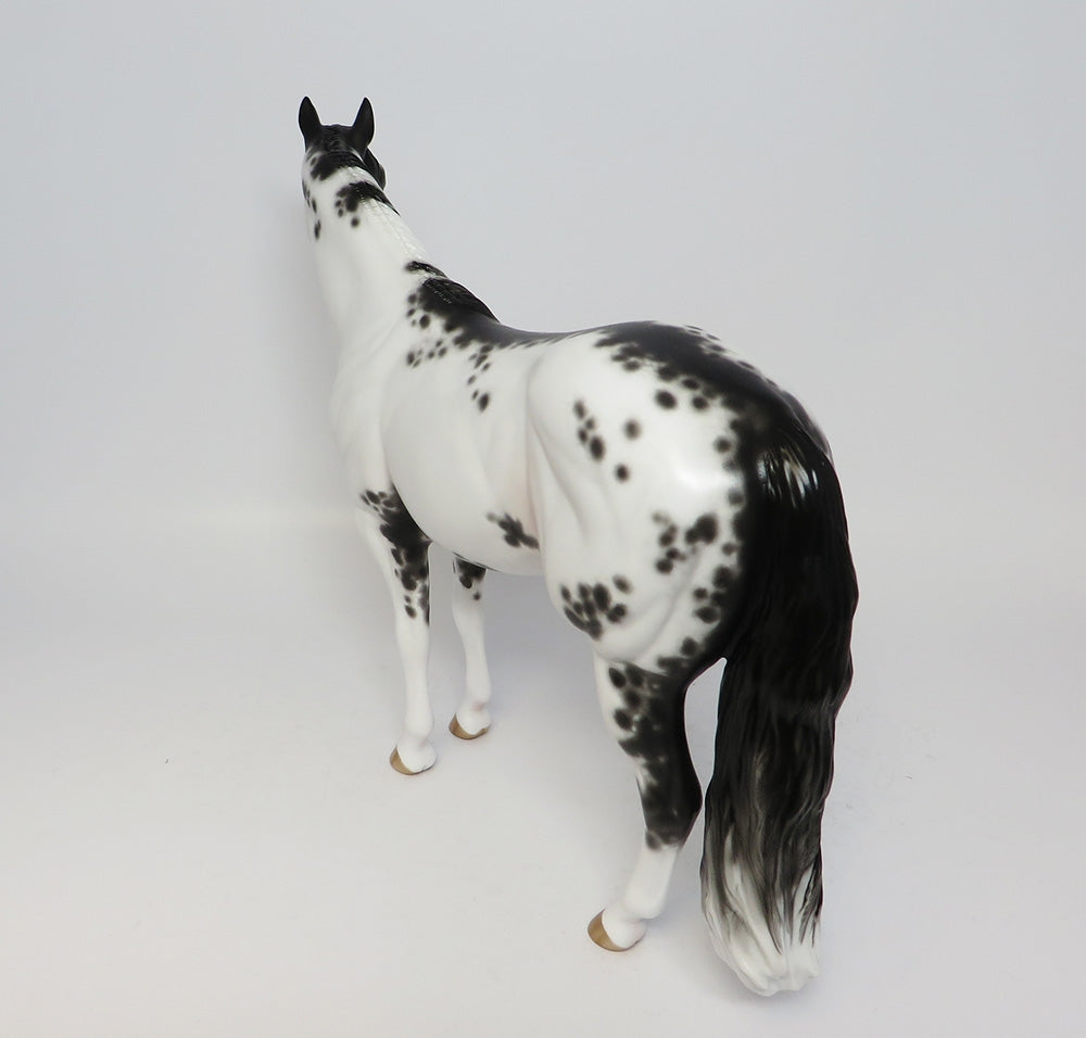 CALIENTE-OOAK BLACK FRAME OVERO ISH MODEL HORSE BY SHERYL LEISURE 06/30/17