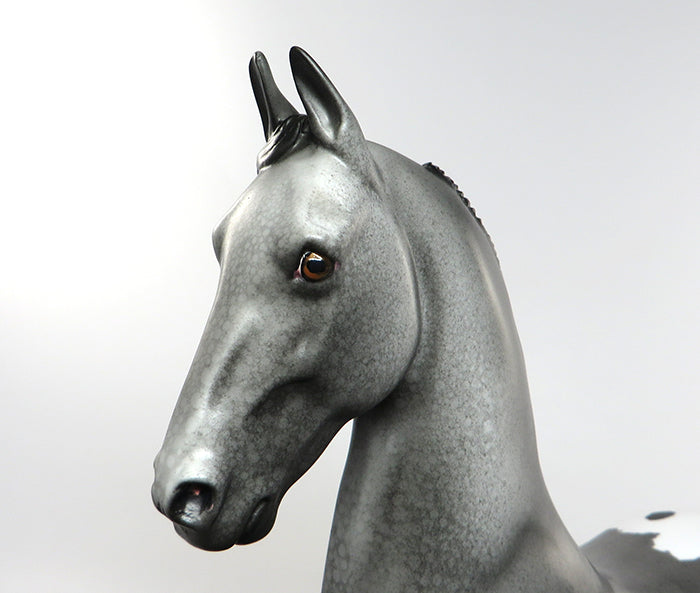 CALVINO-OOAK APPALOOSA WITH BLANKET SADDLEBRED MODEL HORSE 8/11