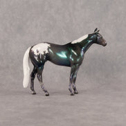 Canopus OOAK Chip Stock Horse by Ellen Robbins SCD26