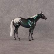 Canopus OOAK Chip Stock Horse by Ellen Robbins SCD26