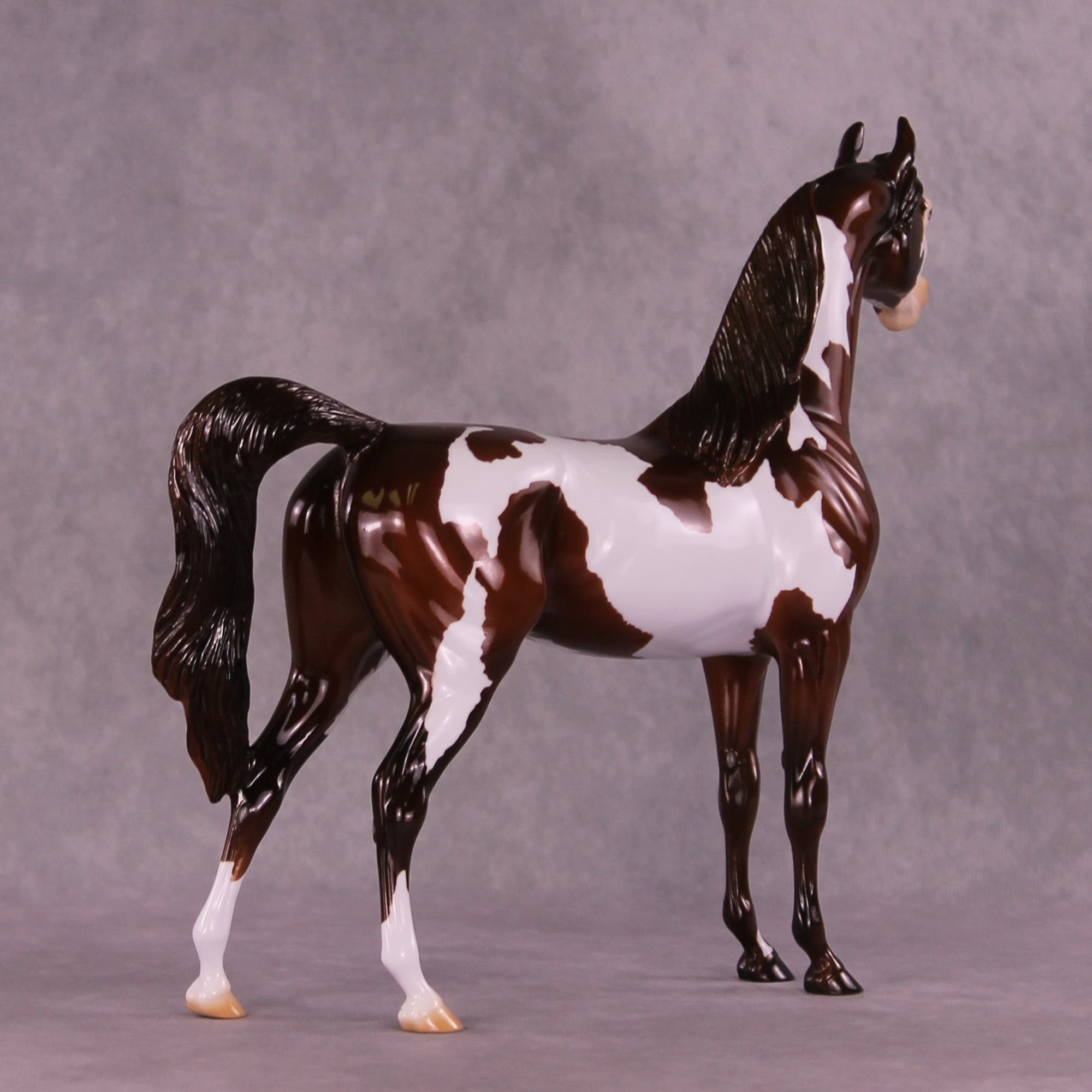 Can&#39;t Go Back OOAK Arabian Stallion by Erin Corbett MM25 Group C