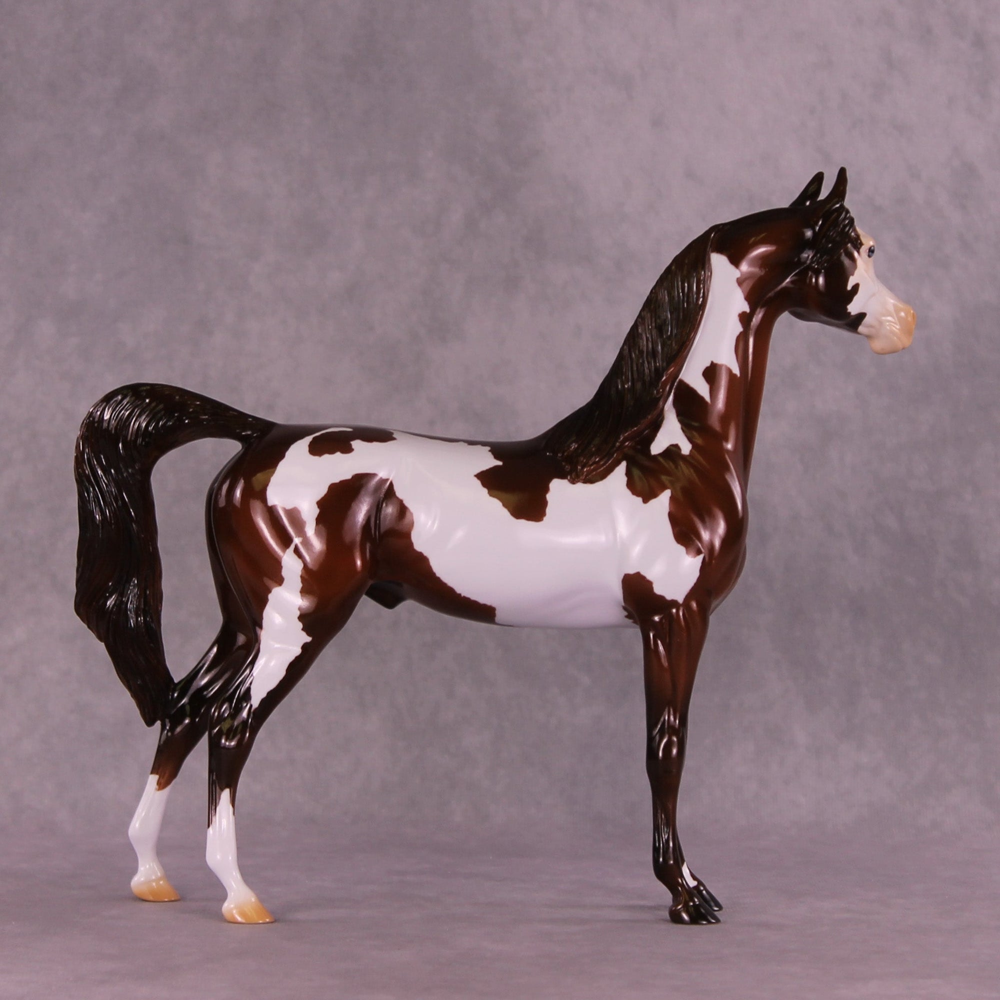 Can&#39;t Go Back OOAK Arabian Stallion by Erin Corbett MM25 Group C