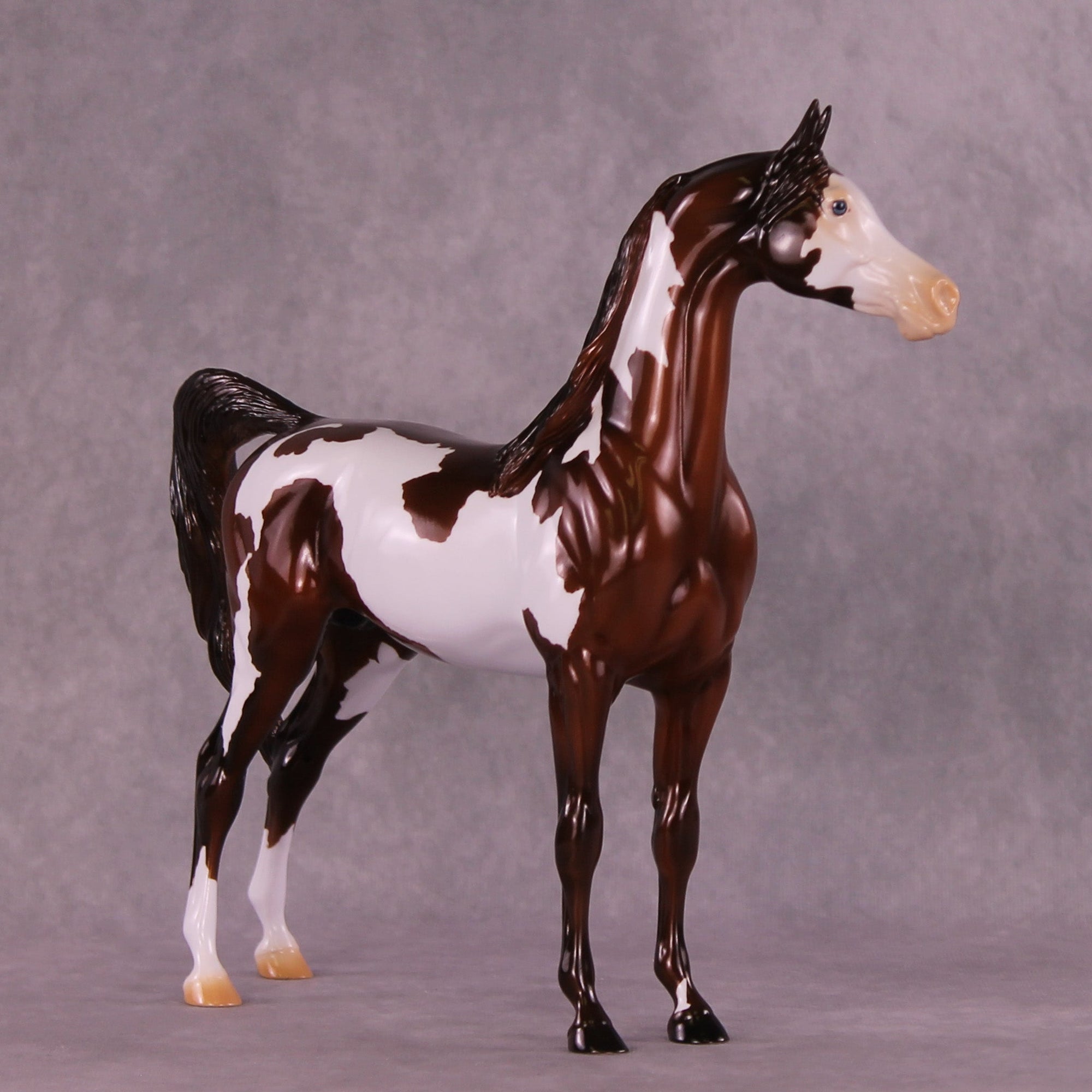 Can&#39;t Go Back OOAK Arabian Stallion by Erin Corbett MM25 Group C